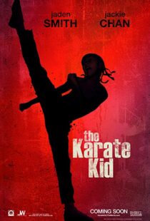 دانلود فیلم The Karate Kid 201019215-1199310335