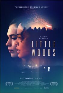 دانلود فیلم Little Woods 201822292-1430917520