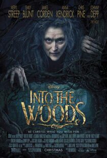 دانلود فیلم Into the Woods 20143675-1420735349