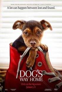 دانلود فیلم A Dog’s Way Home 20198110-1206340479