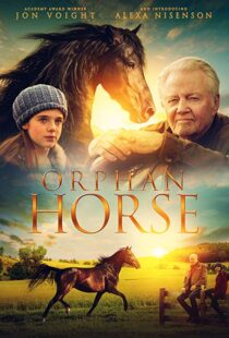 دانلود فیلم Orphan Horse 20188125-832436754