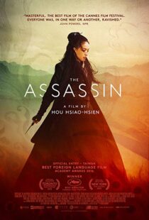 دانلود فیلم The Assassin 201513760-1120878637