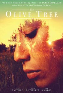 دانلود فیلم The Olive Tree 201615934-1299213308