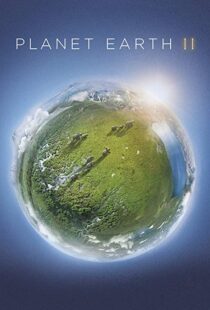 دانلود مستند Planet Earth II58204-1093167897