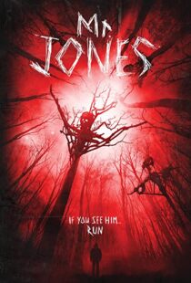 دانلود فیلم Mr. Jones 201337611-1719657453