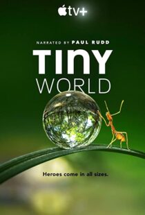 دانلود مستند Tiny World52124-1103733664