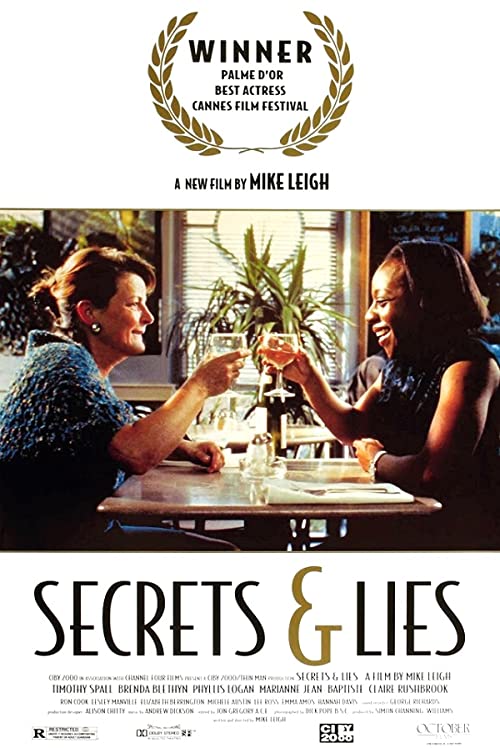 دانلود فیلم Secrets & Lies 1996