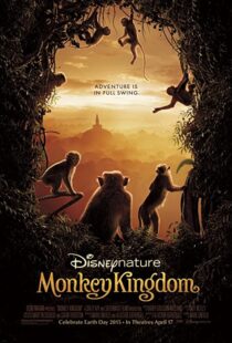 دانلود مستند Monkey Kingdom 201554583-1950519721