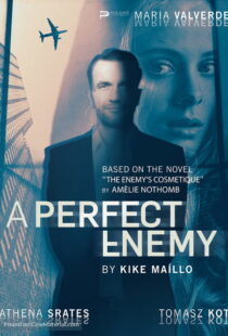 دانلود فیلم A Perfect Enemy 202082295-1159995366