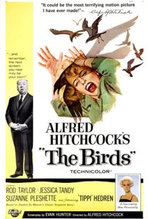 دانلود فیلم The Birds 196382372-1793628802