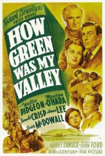 دانلود فیلم How Green Was My Valley 194181855-2068909408