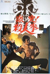 دانلود فیلم The Street Fighter 197483791-446409199