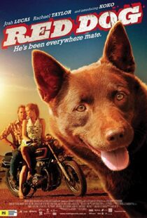 دانلود فیلم Red Dog 201187414-300114127