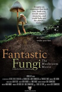 دانلود مستند Fantastic Fungi 2019100518-88018572