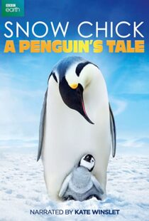 دانلود مستند Snow Chick: A Penguin’s Tale 2015109604-987391578