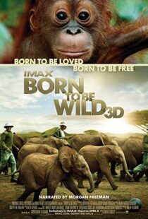 دانلود مستند Born to Be Wild 2011110503-108914183