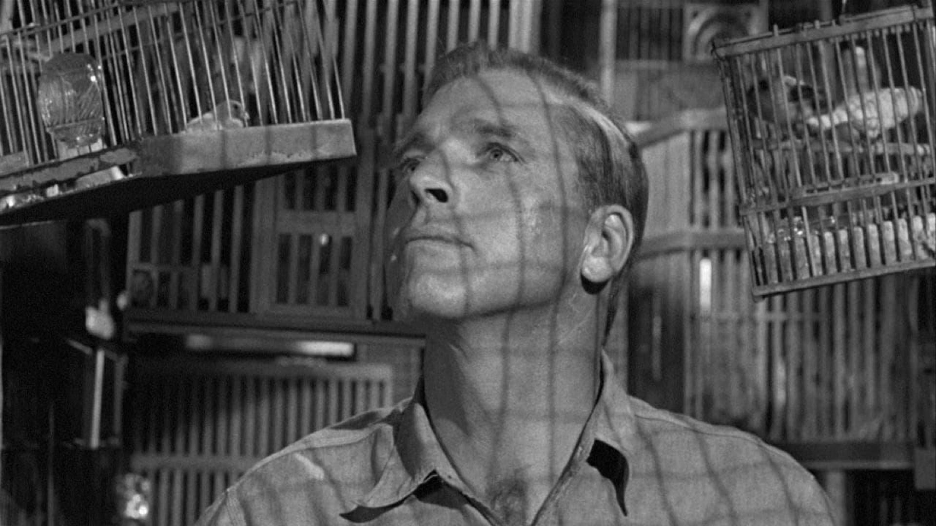 دانلود فیلم Birdman of Alcatraz 1962