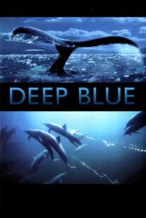 دانلود فیلم Deep Blue 2003333037-854224337