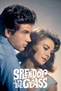 دانلود فیلم Splendor in the Grass 1961382554-239817756