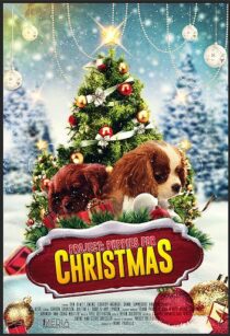 دانلود فیلم Project: Puppies for Christmas 2019390454-1355829309