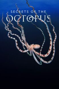 دانلود سریال Secrets of the Octopus401286-1669165570