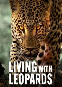 دانلود مستند Living with Leopards 2024400477-1107909806