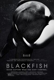 دانلود فیلم Blackfish 2013412328-299278764