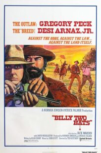 دانلود فیلم Billy Two Hats 1974411057-126184282