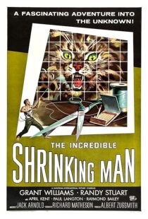 دانلود فیلم The Incredible Shrinking Man 1957413135-228120377