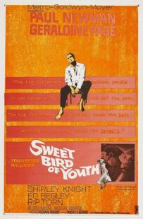 دانلود فیلم Sweet Bird of Youth 1962415738-922024041