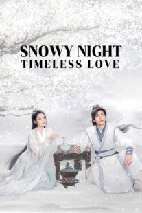 دانلود سریال Snowy Night Timeless Love417168-981141128