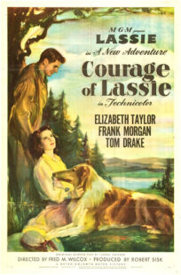 دانلود فیلم Courage of Lassie 1946417427-1124693963