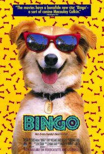 دانلود فیلم Bingo 1991417459-447085803