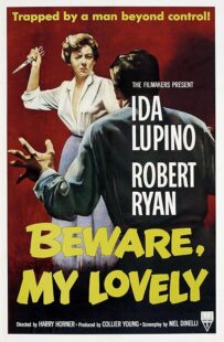 دانلود فیلم Beware, My Lovely 1952420627-2125319817