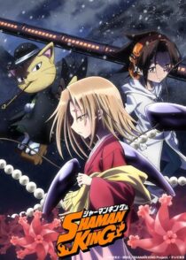 دانلود انیمه Shaman King422246-1964093438