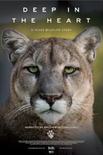 دانلود مستند Deep in the Heart: A Texas Wildlife Story 2022421545-1179858937