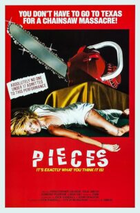 دانلود فیلم Pieces 1982422164-895736113