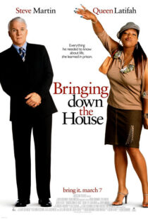 دانلود فیلم Bringing Down the House 2003424024-1319466812