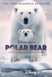 دانلود مستند Polar Bear 2022422974-1167383038